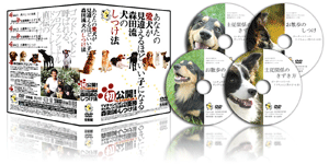 dogsituke